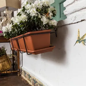Patio Márquez Cordova